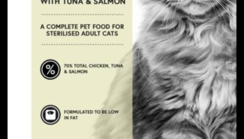 متذوق القطط: نصائح لاختيار طعام عالي الجودة للقطط