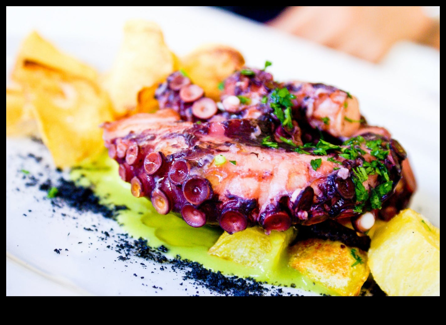 عذب براعم التذوق لديك: عجائب تذوق الطعام المكسيكي