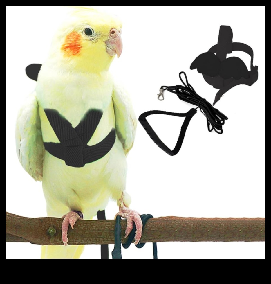 استمرار زينة الطيور: تعزيز المظهر الأنيق لطائرك الأليف