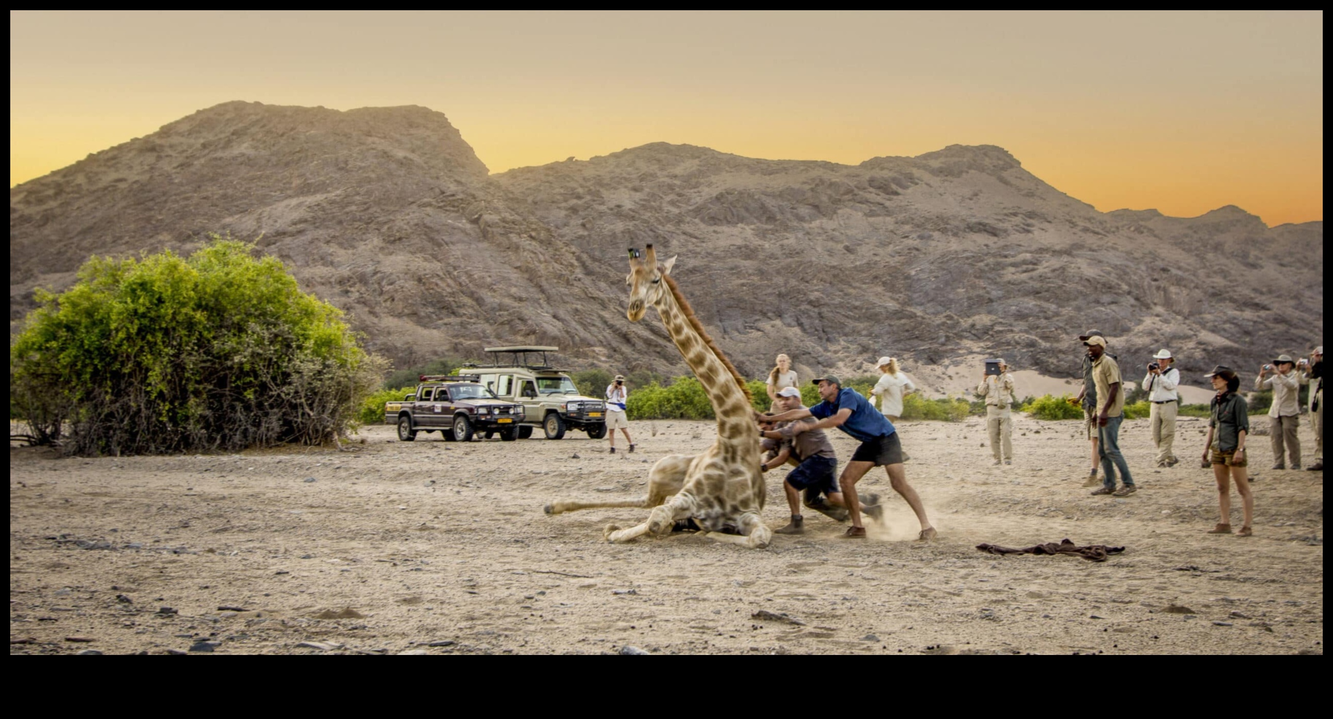 الرحلات الاستكشافية الصديقة للبيئة: مغامرات هجينة للحفاظ على الطبيعة
