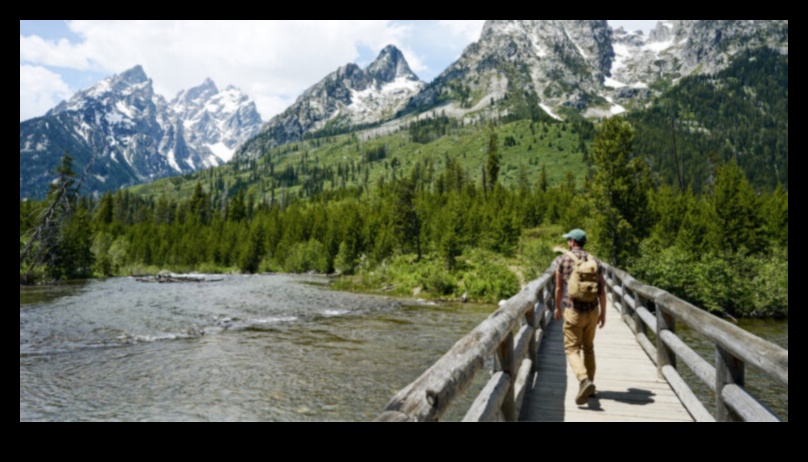 الرحلات الاستكشافية الصديقة للبيئة: مغامرات هجينة للحفاظ على الطبيعة