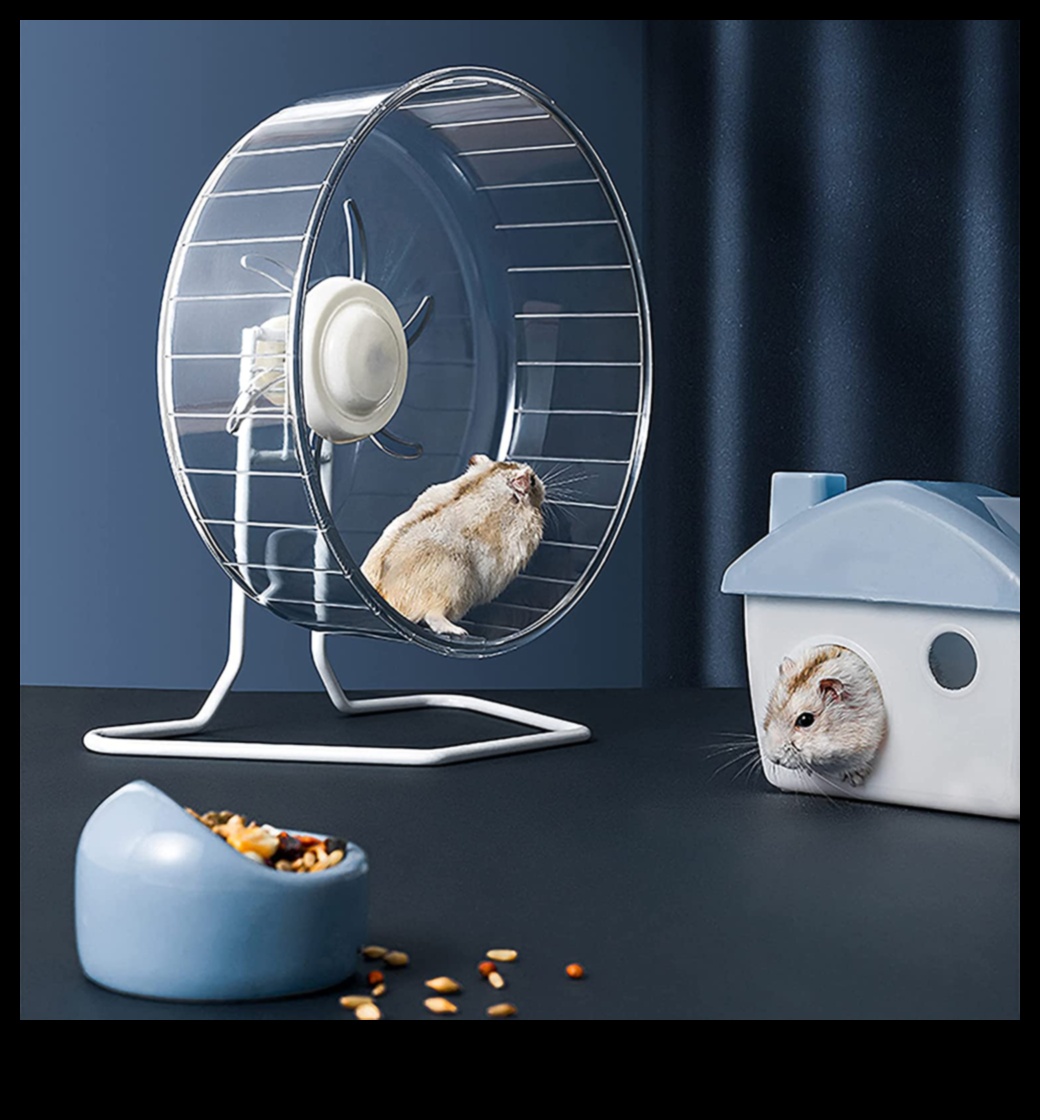 استمرار سلامة عجلة الهامستر: معالجة المخاوف الشائعة والمفاهيم الخاطئة