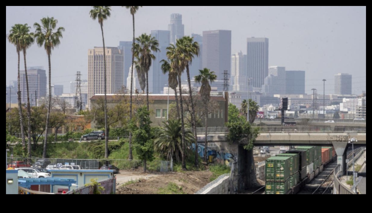 سجلات الشحن في سيتي سكيب: قصص شخصية من السائقين التجاريين في المناطق الحضرية