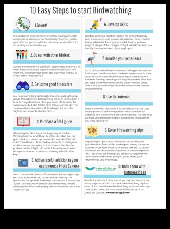 الطيور للمبتدئين: نصائح أساسية لمراقبي الطيور الجدد