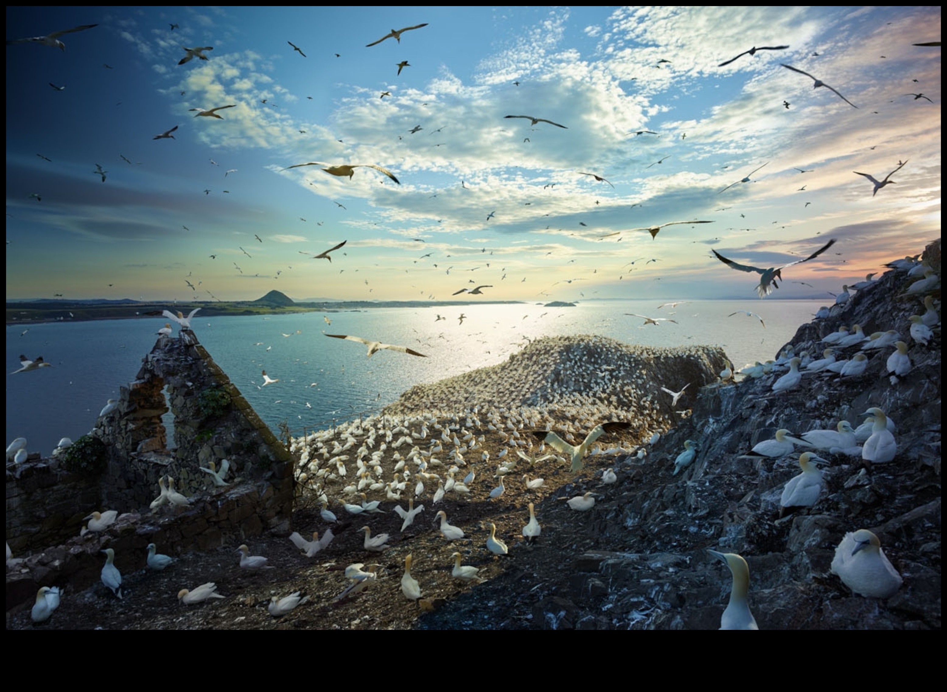 أسرار الهجرة: الرحلات المذهلة للطيور المهاجرة