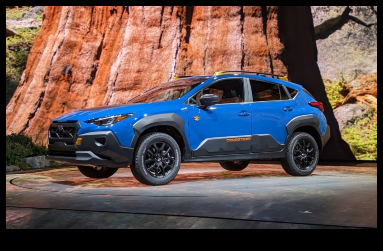 مشاريع الطرق الوعرة: قهر البرية في المغامرة الهجينة