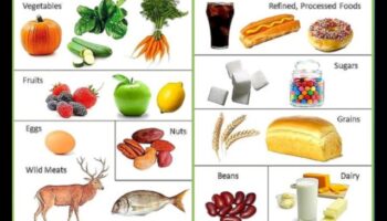 متع ما قبل التاريخ: استمتع بمكافأة أجرة باليو