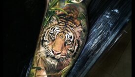 الحبر البري: استكشف غابة الوشم الحيواني