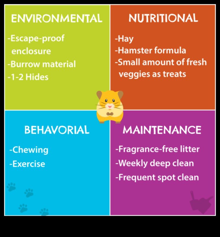 احتياطات سلامة الهامستر: خلق بيئات خالية من المخاطر