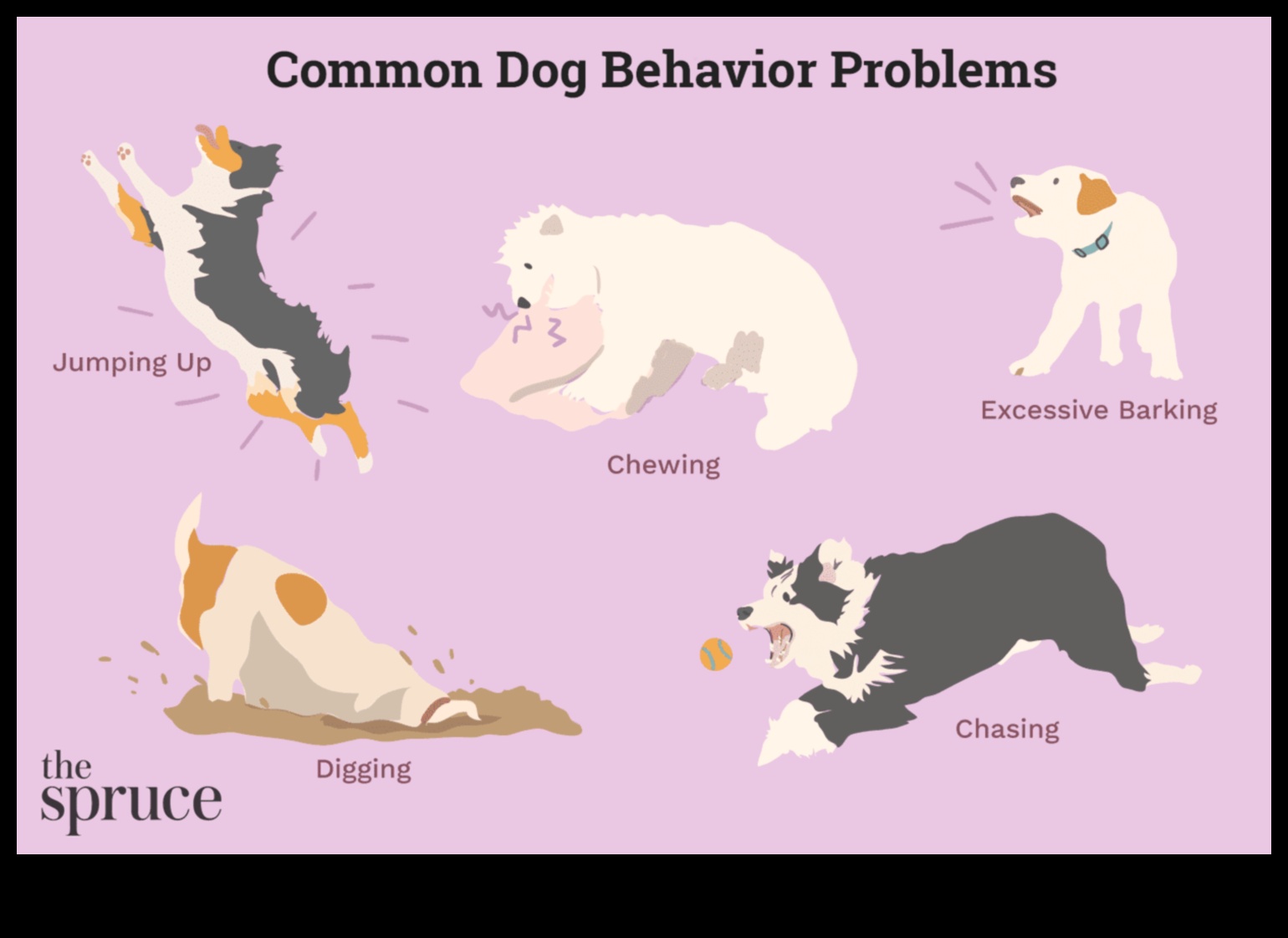 تحديات الكلاب: التغلب على مشكلات سلوك الكلاب الشائعة