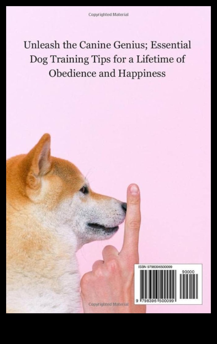 مرحلة ما قبل المدرسة للجرو: نصائح التدريب الأساسية للكلاب الصغيرة