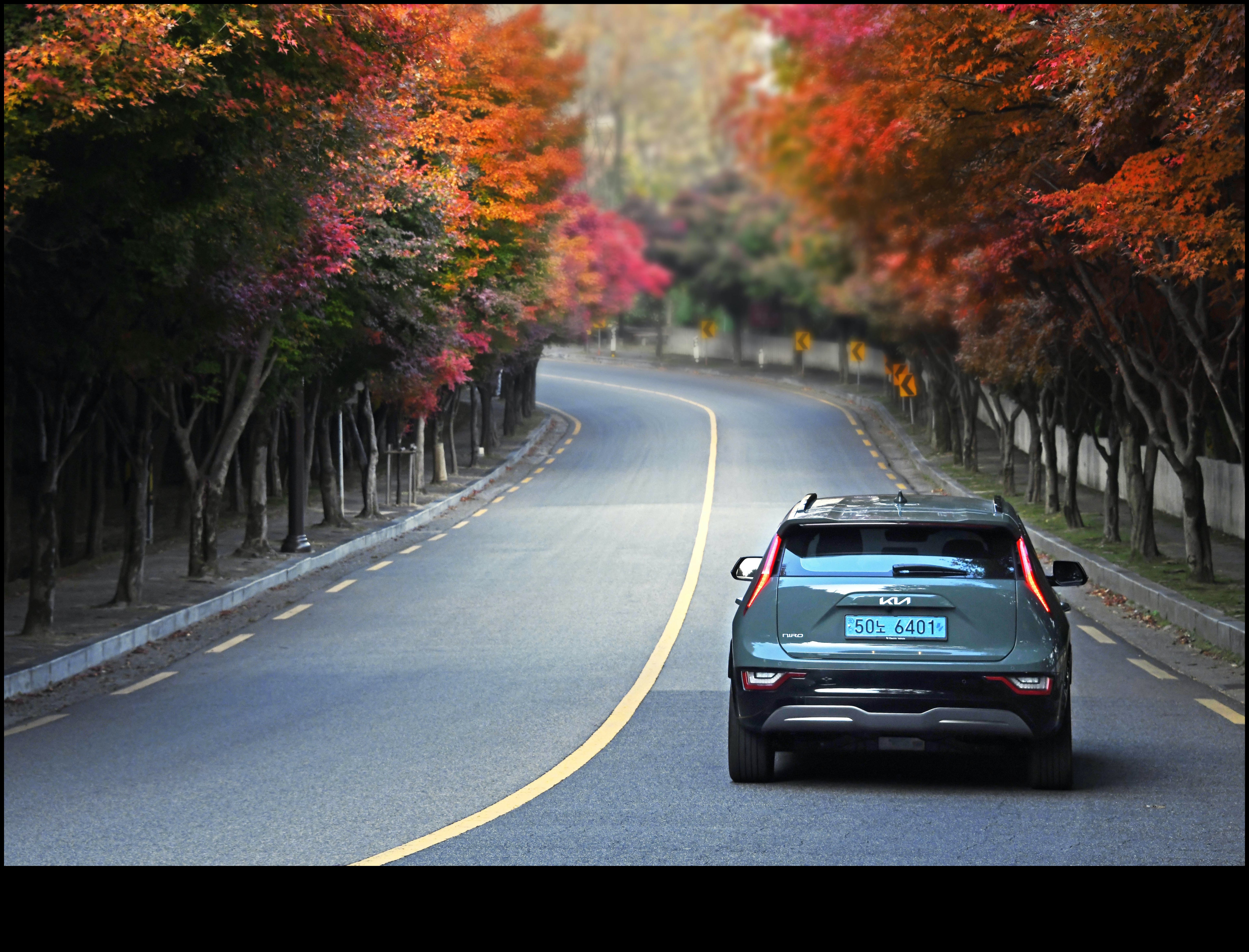 رحلات هادئة: صفاء السيارات الكهربائية في التنقلات اليومية