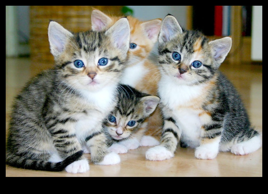 سحر القطط: دليل شامل للعناية بالقطط