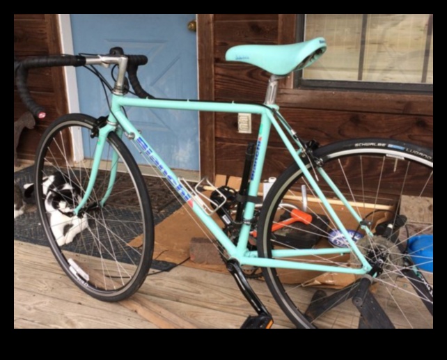 السرعة القديمة: الاحتفال بالحنين إلى الدراجات الكلاسيكية